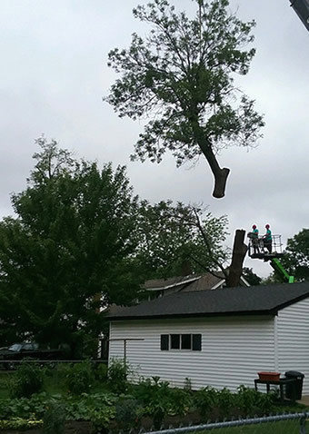 Anoka Tree Removal Coon Rapids Tree Removal